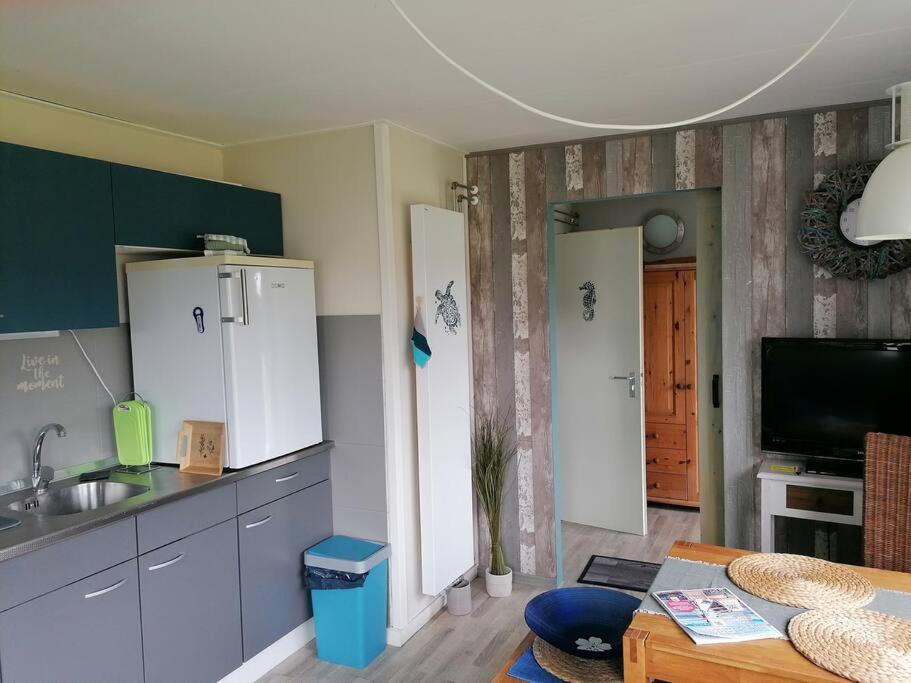 Tinyhouse Carpe Diem Holiday home Dirkshorn